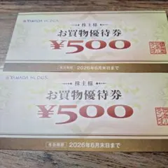 YAMADA HLDGS お買物優待券 ¥500円２枚