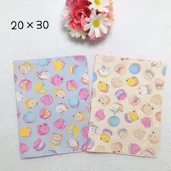 Item thumbnail for item e4fa610a-cbb0-441b-8144-c8c478f47920