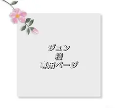 ジュン様専用ページ