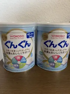 WAKODO ぐんぐん　300g 2缶セット
