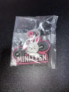 MINITEEN セブチ ぷっくりめじるしアクセサリー　エスクプス