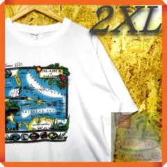 古着 St.Thomas U.S.V.I/アートTシャツVintage 2XL