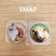 SMAP W-BEST ALBUM WOOL付属の缶バッジ2個セット