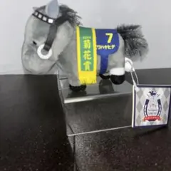 1995年 ビワハヤヒデ 京都競馬場 引退式 記念 キーホルダー - メルカリ