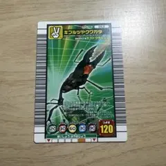 L.B.テイラー様 リクエスト 3点 まとめ商品