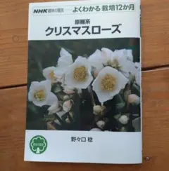 Item thumbnail for item 4b4b409b-1e6d-4681-8c35-1df3177293ab