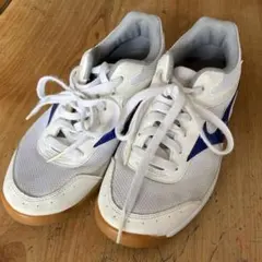 体育館シューズ　Mizuno スポーツシューズ ホワイト/ブルー　24.5センチ