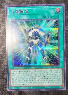 2026年最新】赤シクの人気アイテム - メルカリ