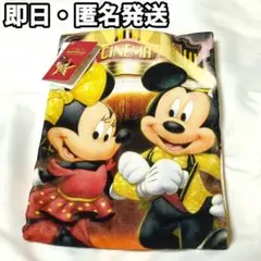 ディズニーストア 25周年 ディズニーリゾート店限定　バスタオル