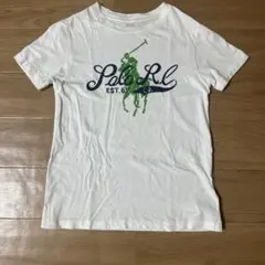 POLO RALPH LAUREN Tシャツ 7サイズのサムネイル