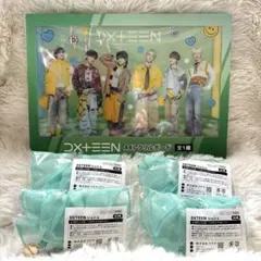DXTEEN A4アクリルボード シュシュセット - メルカリ