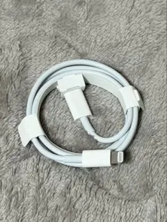 Apple Lightningケーブル ホワイト（iPhone14付属　正規品）