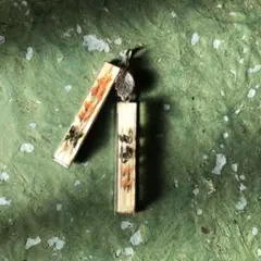 ■ 昭和レトロ ■ 水中花 ペンダントトップ ◆ ドライフラワー リーフ