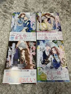 どうせ捨てられるのなら、最後に好きにさせていただきます 全巻