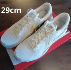 NIKE ナイキ ウィメンズ エアマックス エクシー　29cm