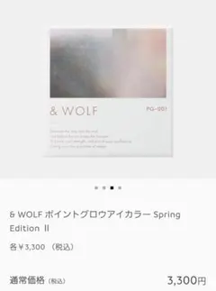 新品未使用★& WOLF ポイントグロウアイカラー PG-001 定価3300円のサムネイル
