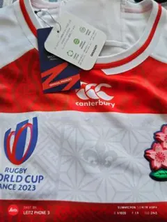 Item thumbnail for item 38d6142c-781d-4fcd-960f-7473d89a183a