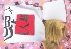 東リベ 乾青宗 イヌピー コスプレ 衣装 ウィッグ　特攻服 東京リベンジャーズ