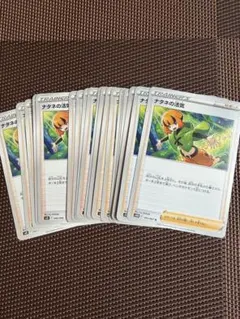 ナタネの活気 19枚