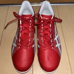広島東洋カープ・田中広輔選手の未使用スパイク