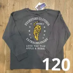 Item thumbnail for item c84bf586-3a8f-46c5-8b80-c0f7ae9a282f