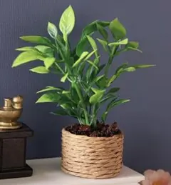 ミニチュア フェイクグリーン 観葉植物 インテリアのサムネイル