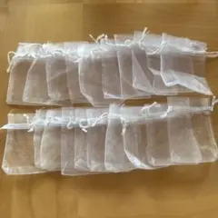 Item thumbnail for item 02779b67-a623-47f0-9c8c-04a08bf0b998