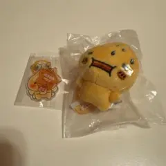 アセオ君 2点セット