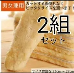 Item thumbnail for item 6686110a-4e80-4b88-9e80-5881b456308c