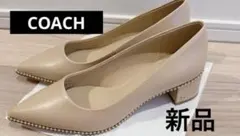 Item thumbnail for item b4966cf4-4200-49b3-9642-56e0b020dc7c