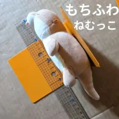 もちふわねむっこ　カワウソ　ぬいぐるみ　マスコット　アミューズメント