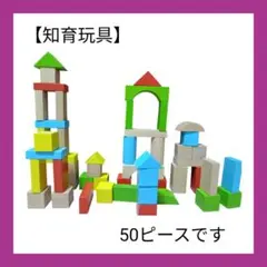 イジュの木 積み木 50ピース 木製 知育玩具 1.5歳以上