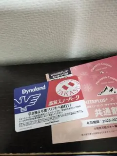 2026年最新】高鷲スノーパークの人気アイテム - メルカリ