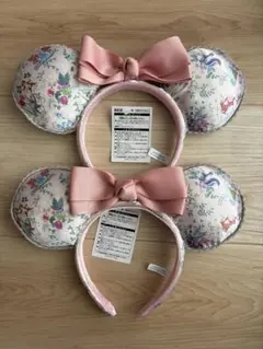 東京ディズニーリゾート カチューシャ チップとデール　２点セット