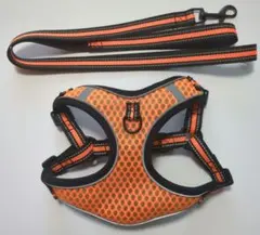 Item thumbnail for item 33c7ba28-5995-4710-b9d9-5d06d1cb068c