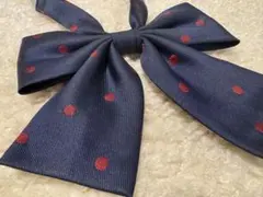 Item thumbnail for item 6887599d-d8f8-417b-a60d-bb0ba9de4134