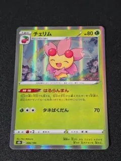 2026年最新】チェリムの人気アイテム - メルカリ