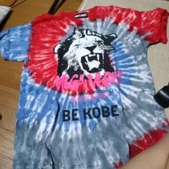 Item thumbnail for item 6bb02b1e-bfac-423c-86ef-736077cdc8a7