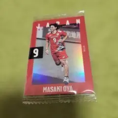 Item thumbnail for item 59424c30-7175-4e28-a072-f18e94de9f6d