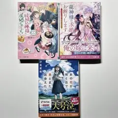 ライトノベル まとめ売り