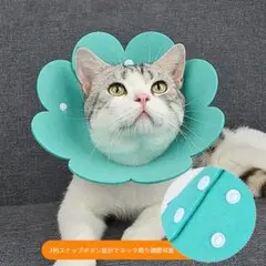 エリザベスカラー 猫用 犬用 ソフト 着脱便利 傷舐め防止 引っ掻き防止 XS