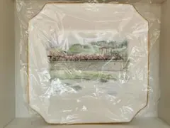 Item thumbnail for item a9b6d245-3813-462c-8a77-b2963a65b092