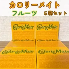 カロリーメイト 4本入り（フルーツ）6箱セット