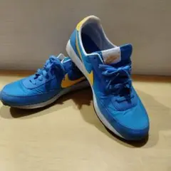 Nike ランニングシューズ ワッフル
