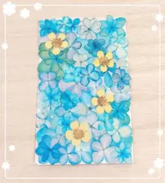 【押し花 素材】ブルー系アジサイセット270