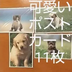 ♥特売品♥未使用　SANRIO サンリオ　可愛い ポストカード　11枚セット