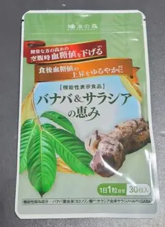 Item thumbnail for item 4cb99ea4-9273-4a90-85c1-b3b44d49f5f2