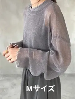 新品 M ルーズフィット ラウンドネック メッシュオーバーレイ シアーブラウス