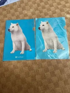 新品未使用❣️ソフトバンクお父さんファイル2枚セット