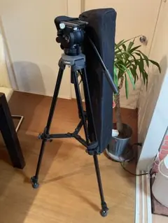 り1○ Libec リーベック ビデオ三脚 RT30B + RH25D - メルカリ